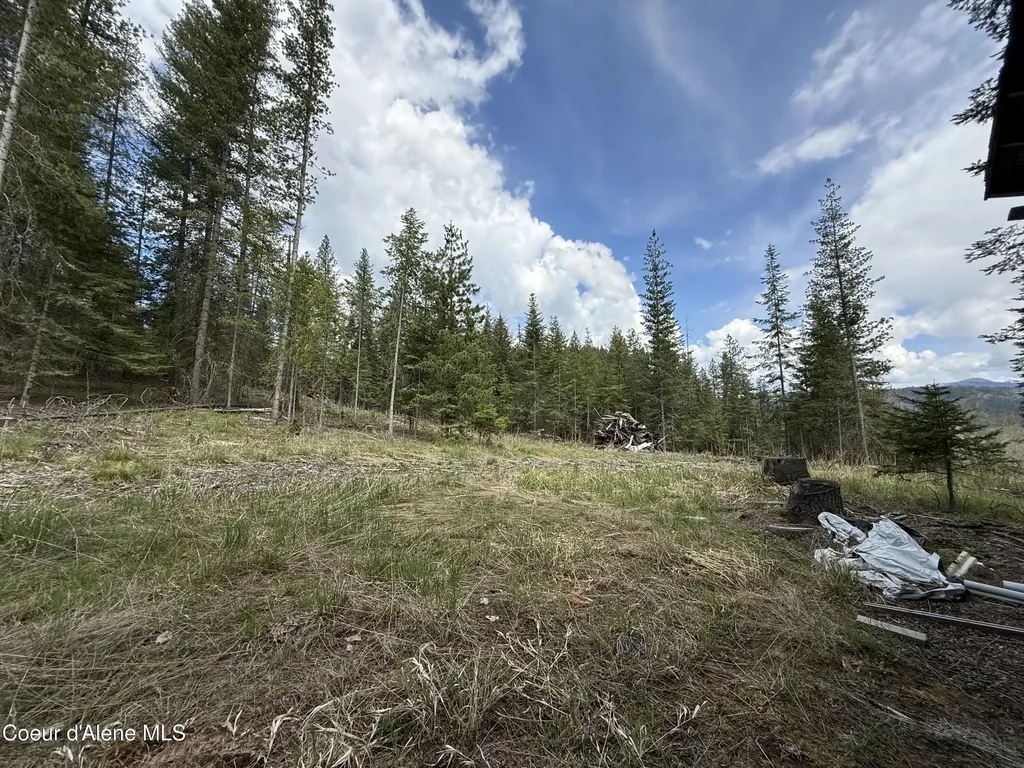 Nka St..maries River Road Lot #5 St. Maries ID 83861