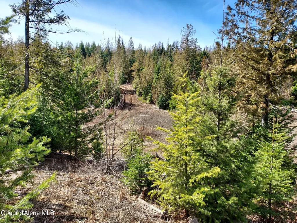 2244 N Whittum Road Priest River ID 83856