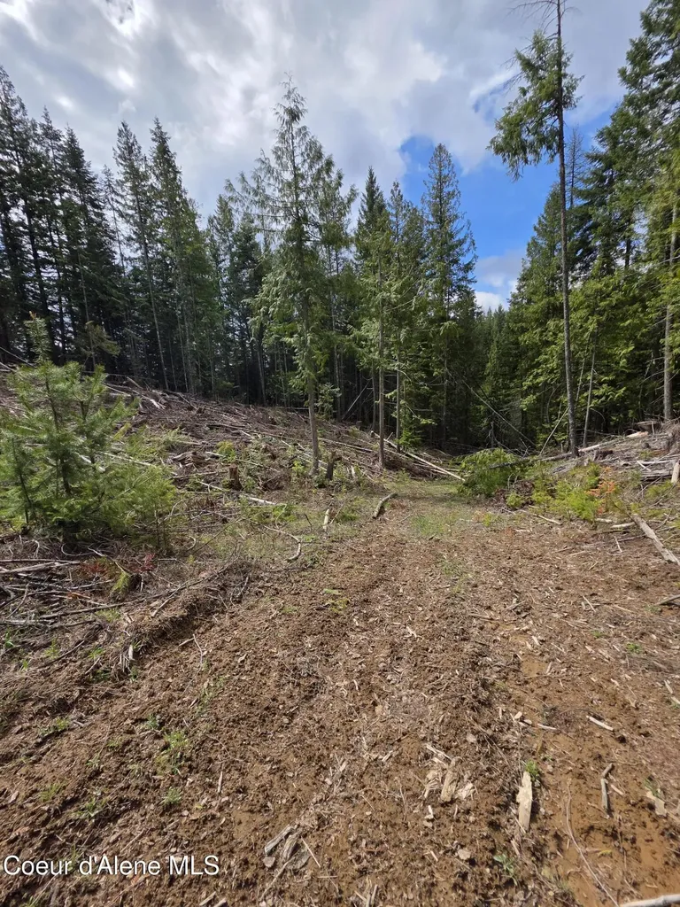 Nna Cabin Loop Road St. Maries ID 83861