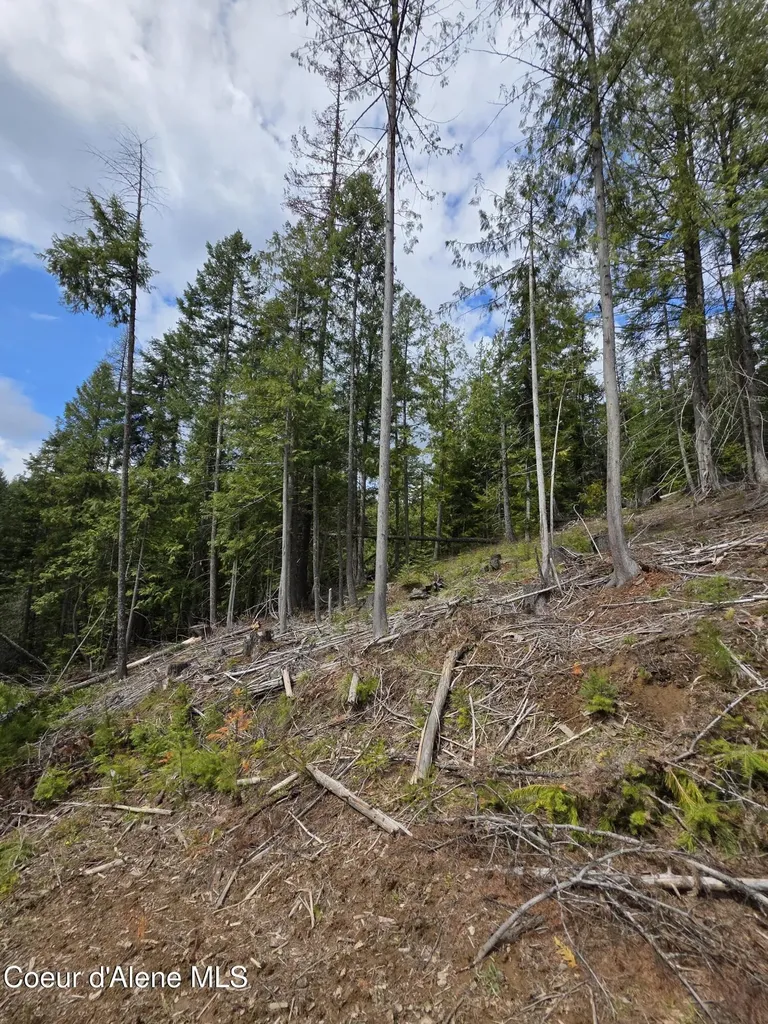 Nna Cabin Loop Road St. Maries ID 83861