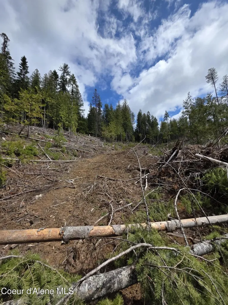 Nna Cabin Loop Road St. Maries ID 83861