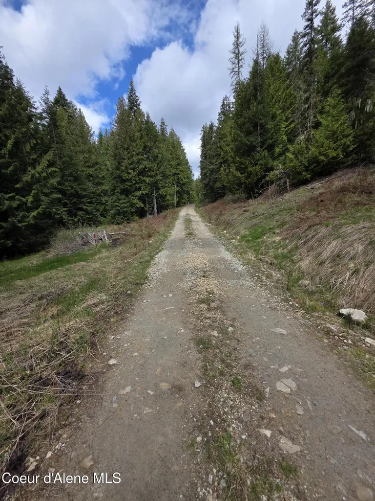 Nna Cabin Loop Road St. Maries ID 83861