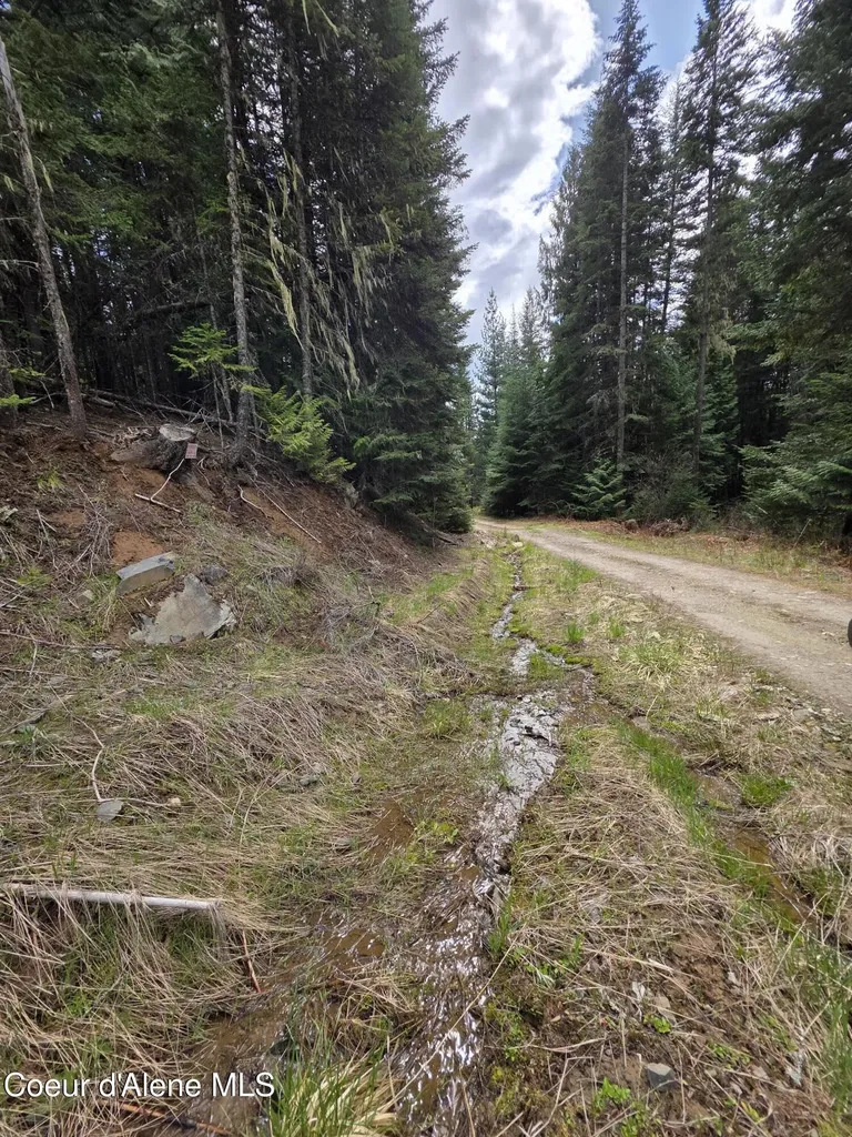 Nna Cabin Loop Road St. Maries ID 83861