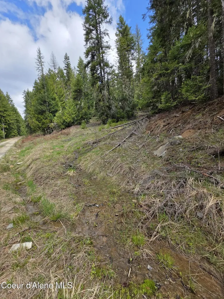 Nna Cabin Loop Road St. Maries ID 83861