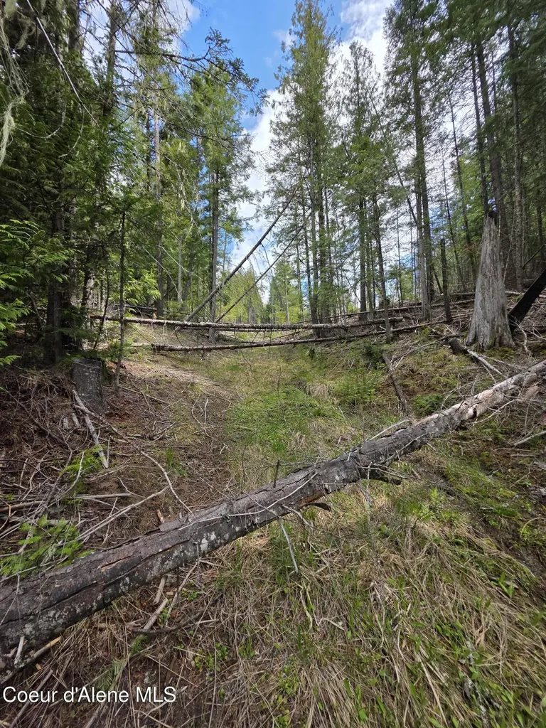 Nna Cabin Loop Road St. Maries ID 83861