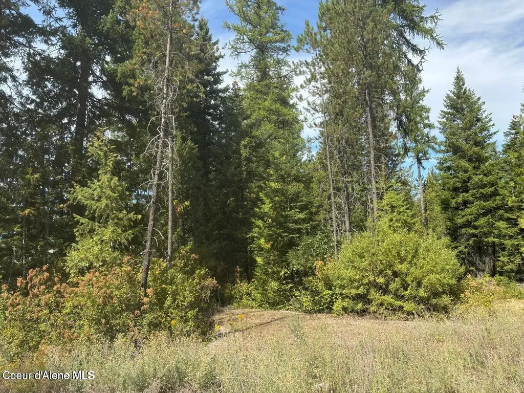 4757 W Spirit Bend Avenue Spirit Lake ID 83869