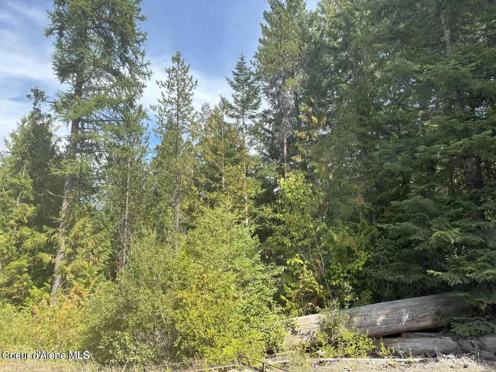4757 W Spirit Bend Avenue Spirit Lake ID 83869