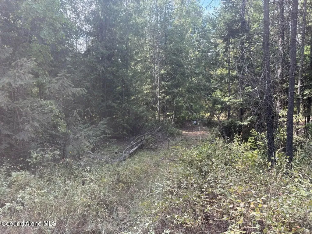 4757 W Spirit Bend Avenue Spirit Lake ID 83869