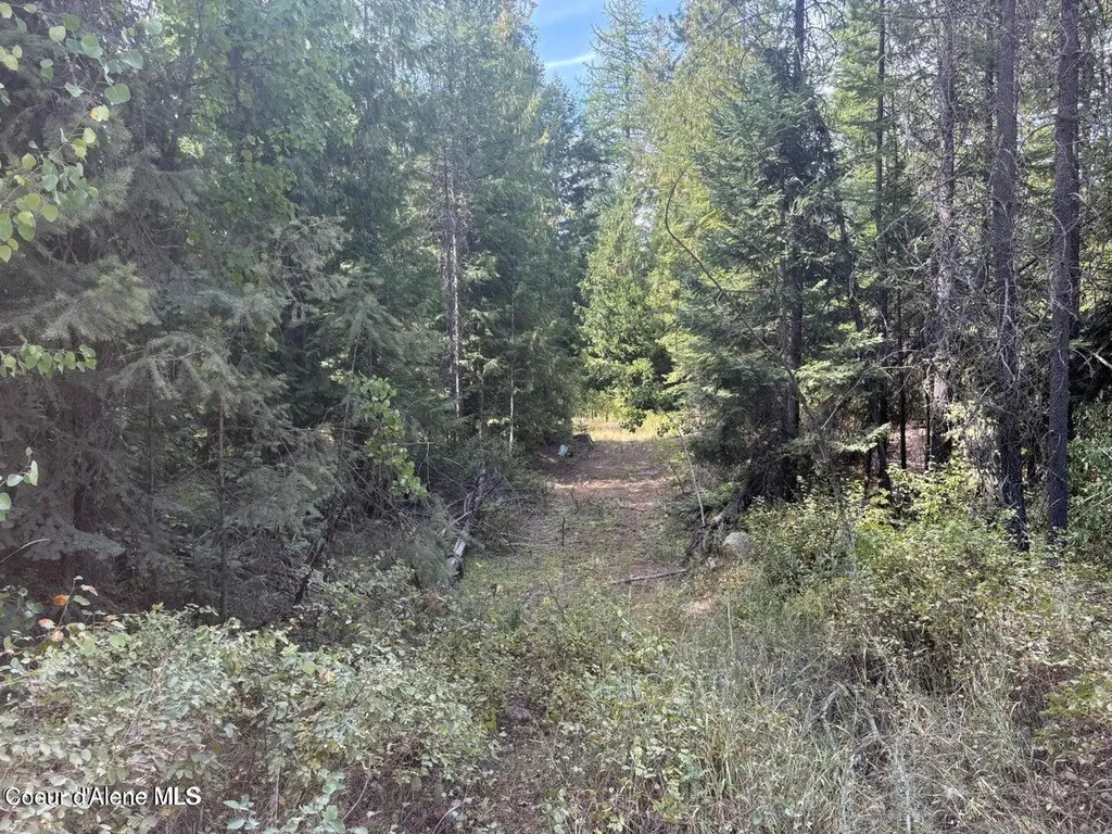 4757 W Spirit Bend Avenue Spirit Lake ID 83869