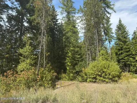 4757 W Spirit Bend Avenue Spirit Lake ID 83869