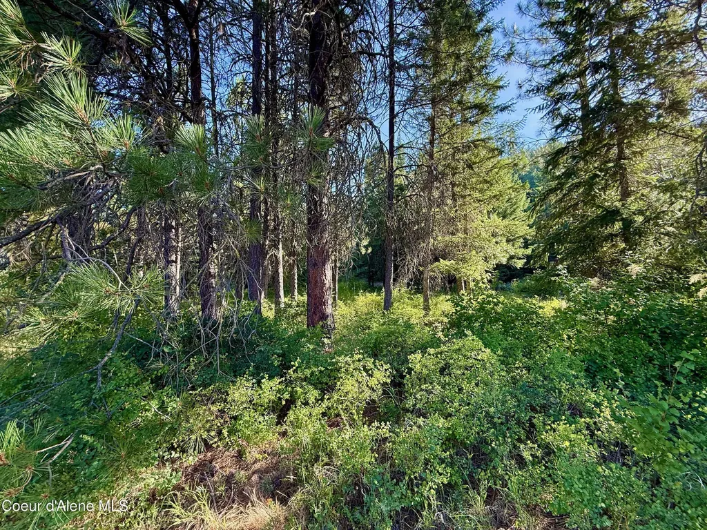 869 Eagle Ridge Lane Kingston ID 83839
