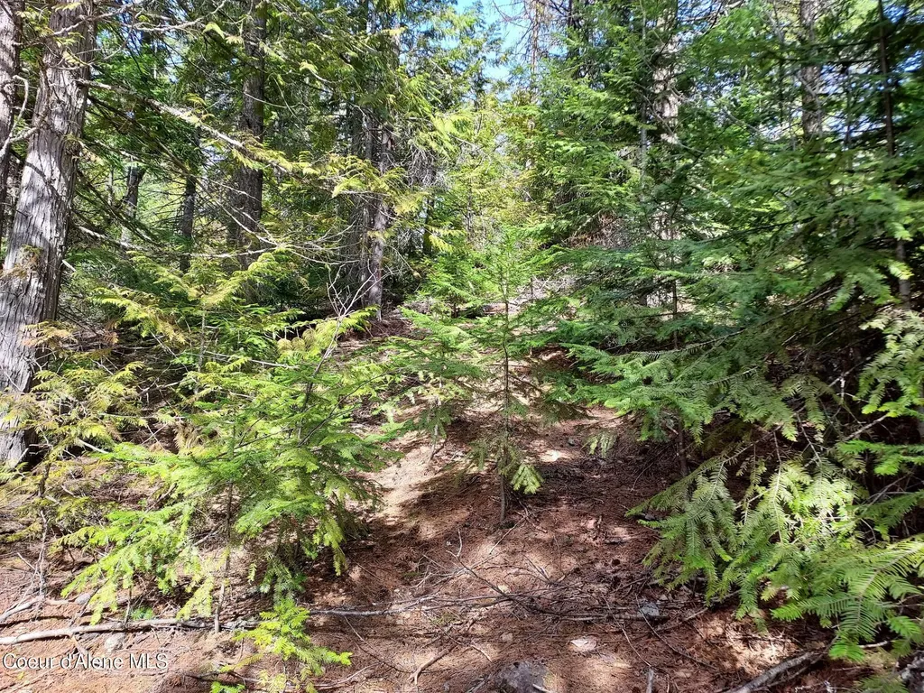Nka N Whittum Road Priest River ID 83856