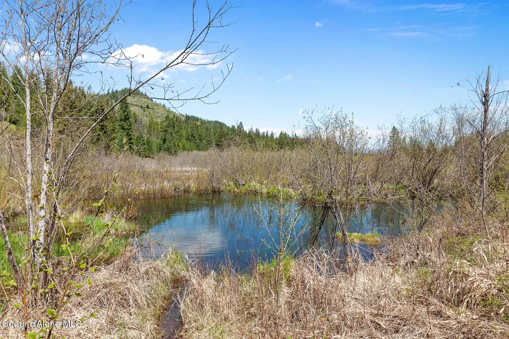 1791 Pup Paw Trail Priest River ID 83856