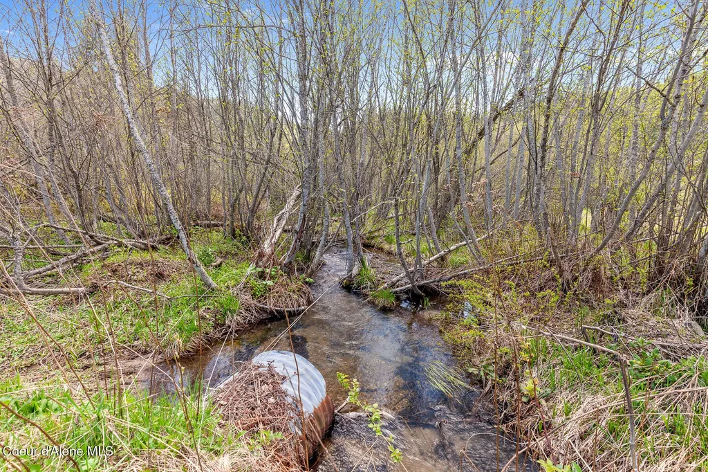 1791 Pup Paw Trail Priest River ID 83856