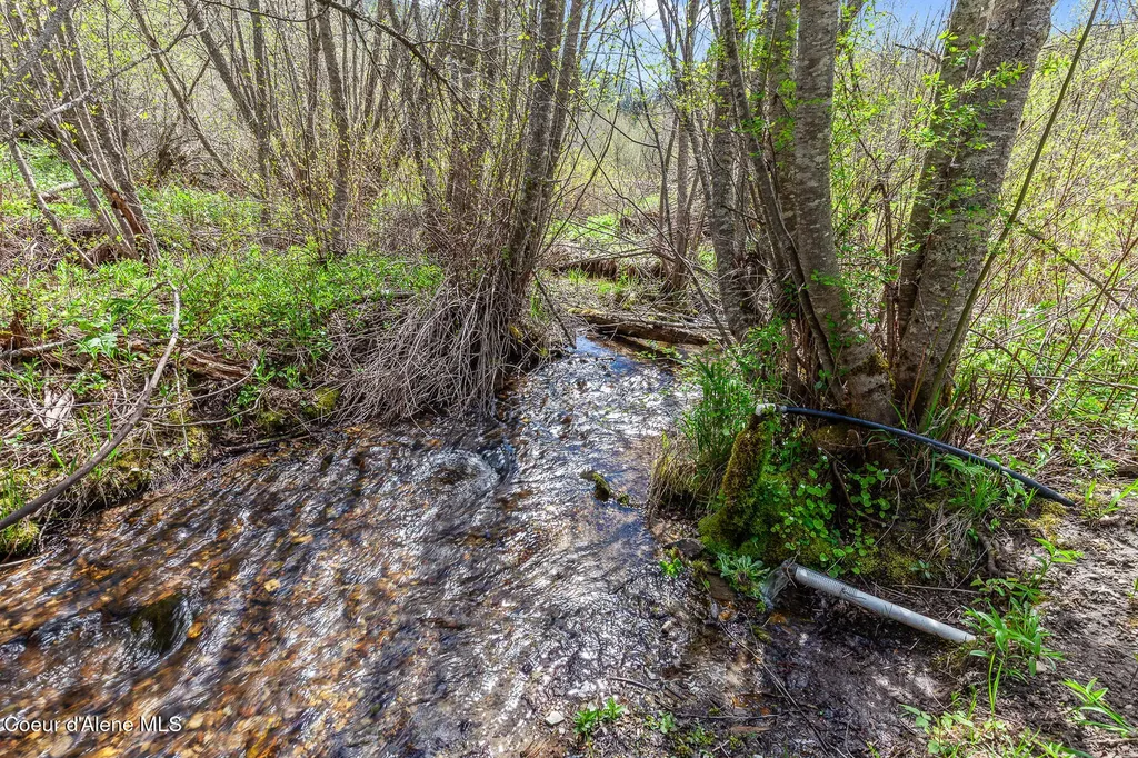 1791 Pup Paw Trail Priest River ID 83856