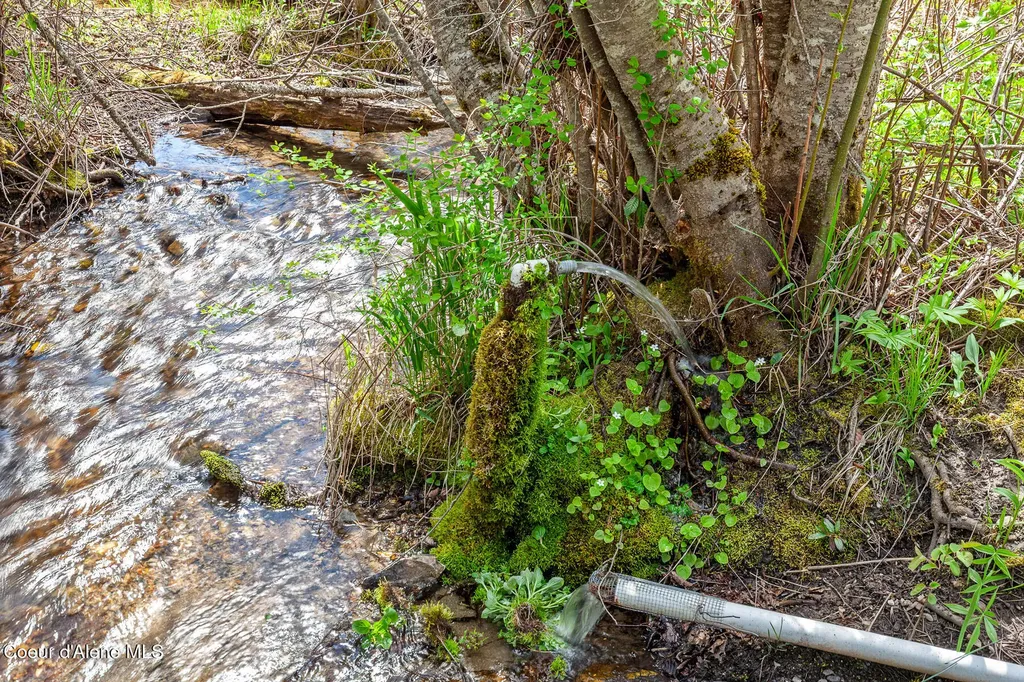 1791 Pup Paw Trail Priest River ID 83856