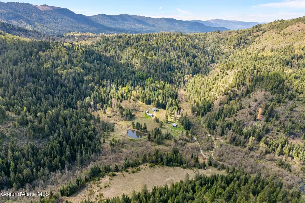 1791 Pup Paw Trail Priest River ID 83856