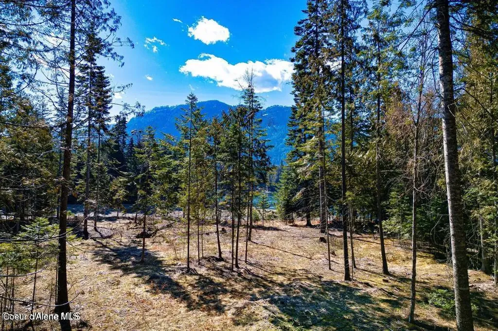 Nka Frontage Road Clark Fork ID 83811