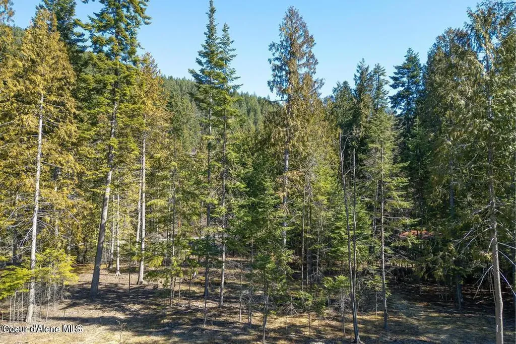 Nka Frontage Road Clark Fork ID 83811