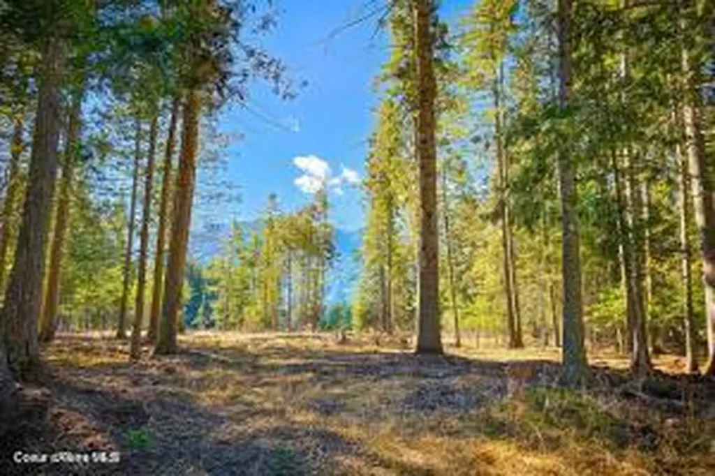 Nka Frontage Road Clark Fork ID 83811