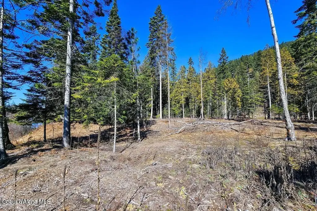 Nka Frontage Road Clark Fork ID 83811