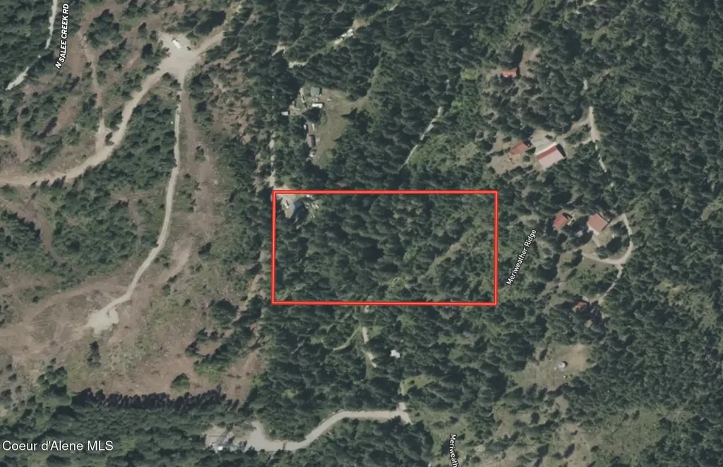 1142 Salee Creek Road Bayview ID 83803