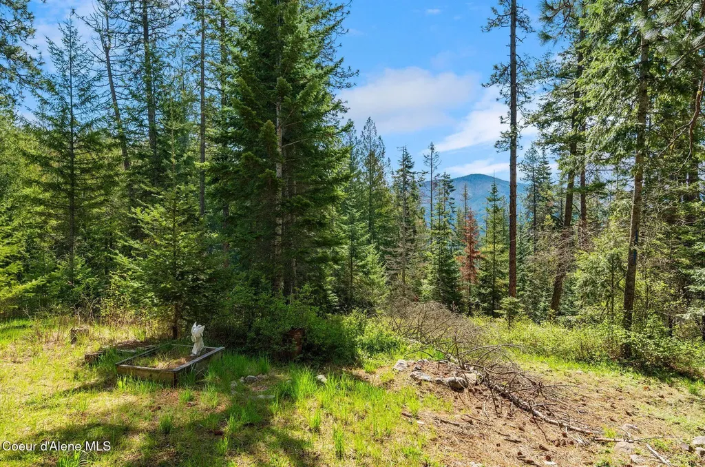 1142 Salee Creek Road Bayview ID 83803
