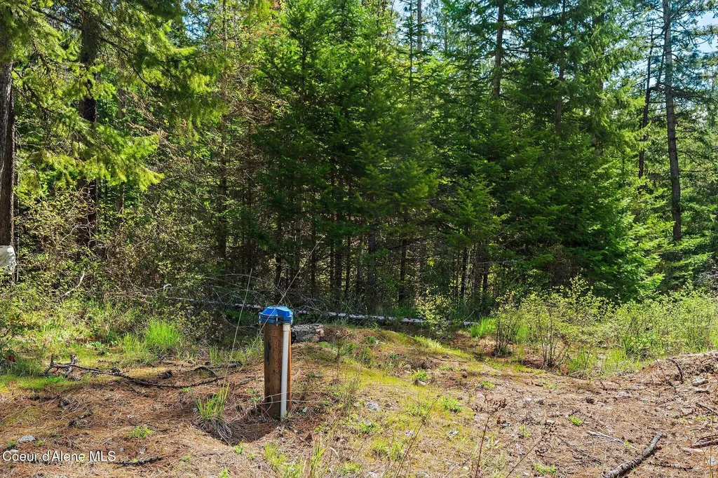 1142 Salee Creek Road Bayview ID 83803