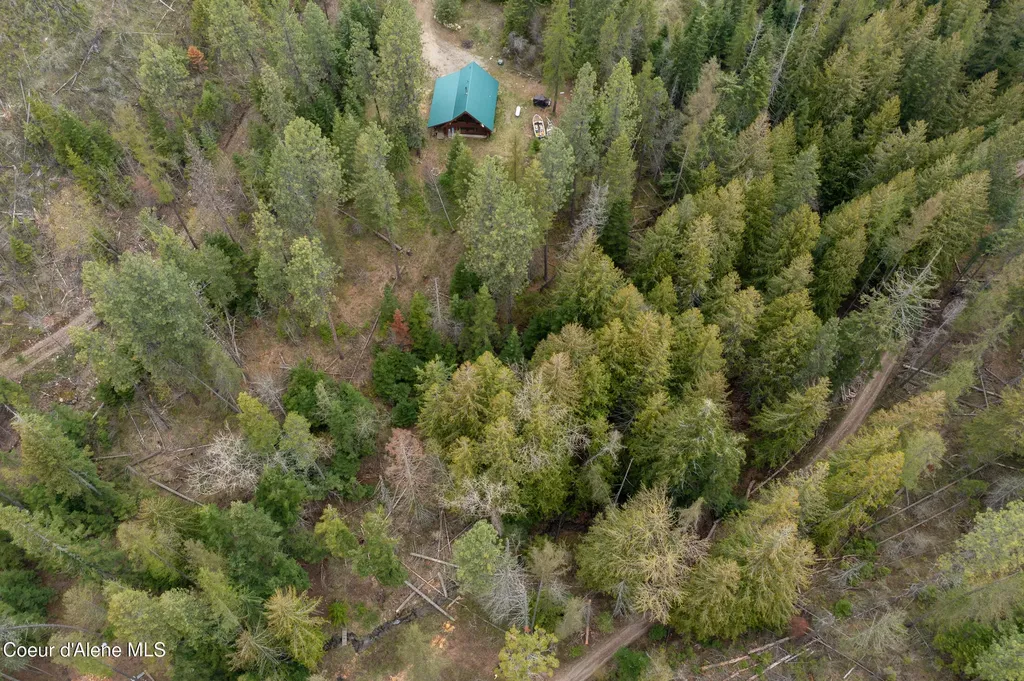 1142 Salee Creek Road Bayview ID 83803