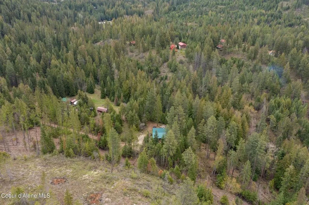 1142 Salee Creek Road Bayview ID 83803