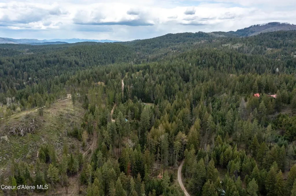 1142 Salee Creek Road Bayview ID 83803