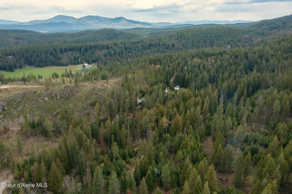 1142 Salee Creek Road Bayview ID 83803