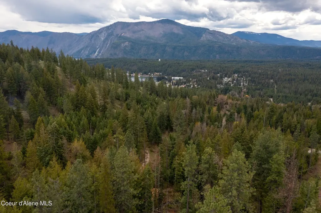 1142 Salee Creek Road Bayview ID 83803