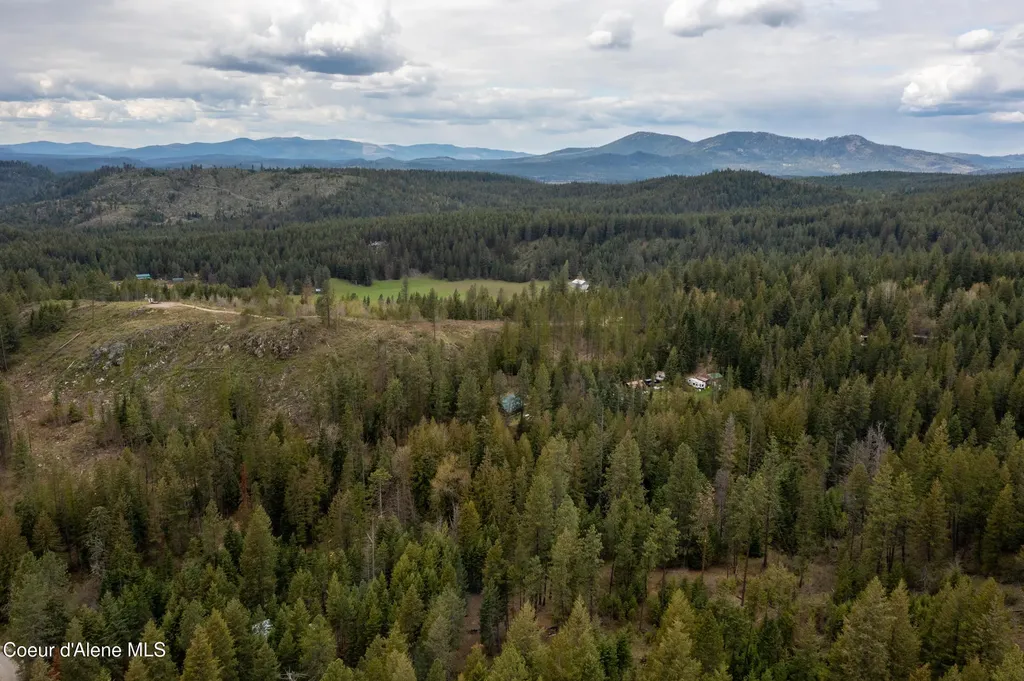 1142 Salee Creek Road Bayview ID 83803