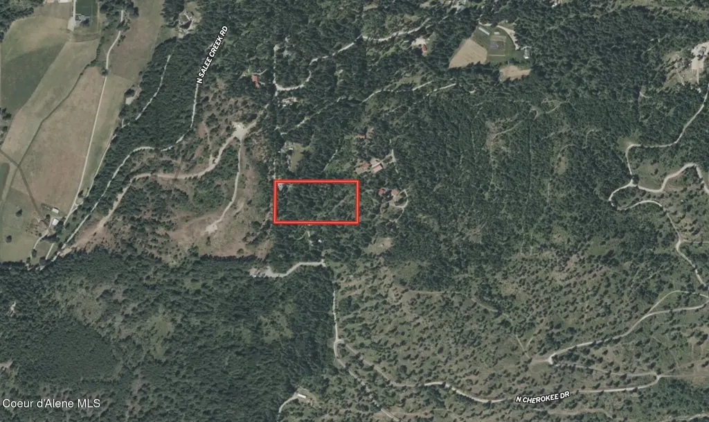 1142 Salee Creek Road Bayview ID 83803