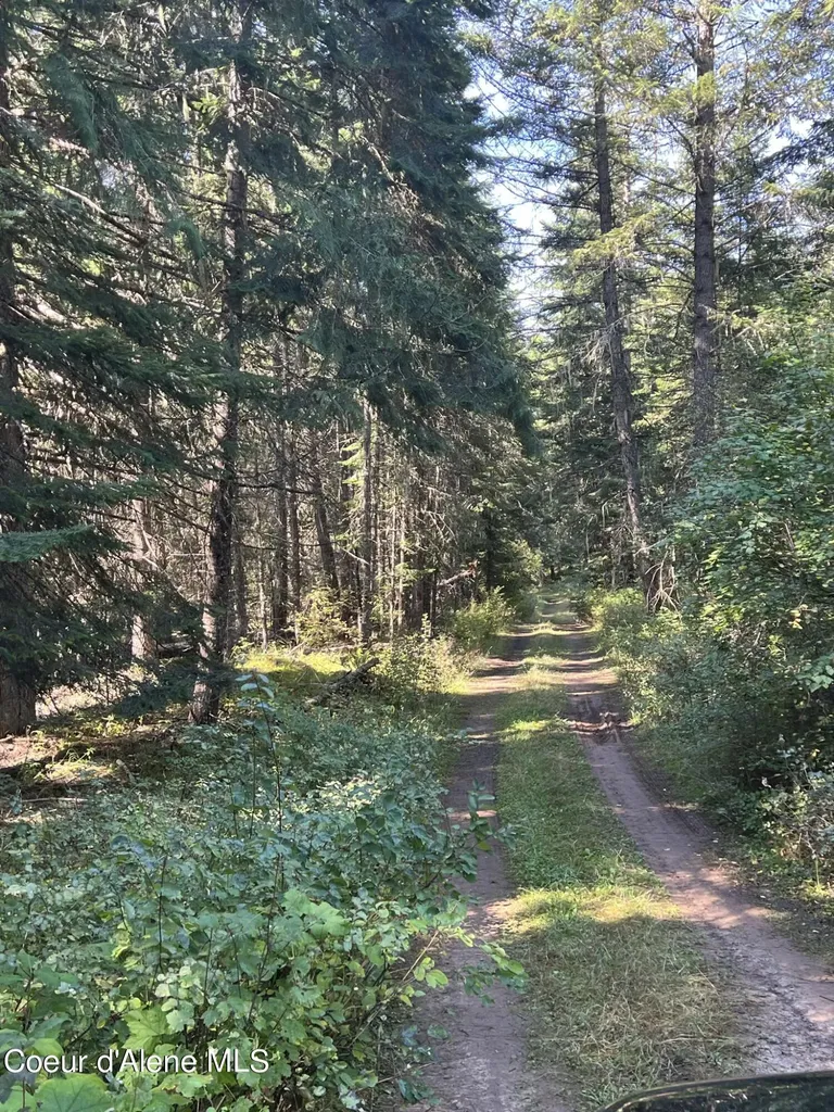 5856 Lacey Meadows Road Weippe ID 83553