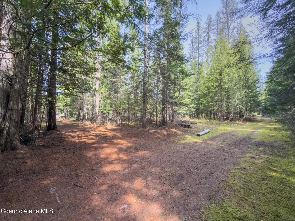 Nna Robinson Drive Priest River ID 83856