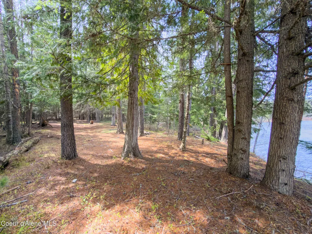 Nna Robinson Drive Priest River ID 83856