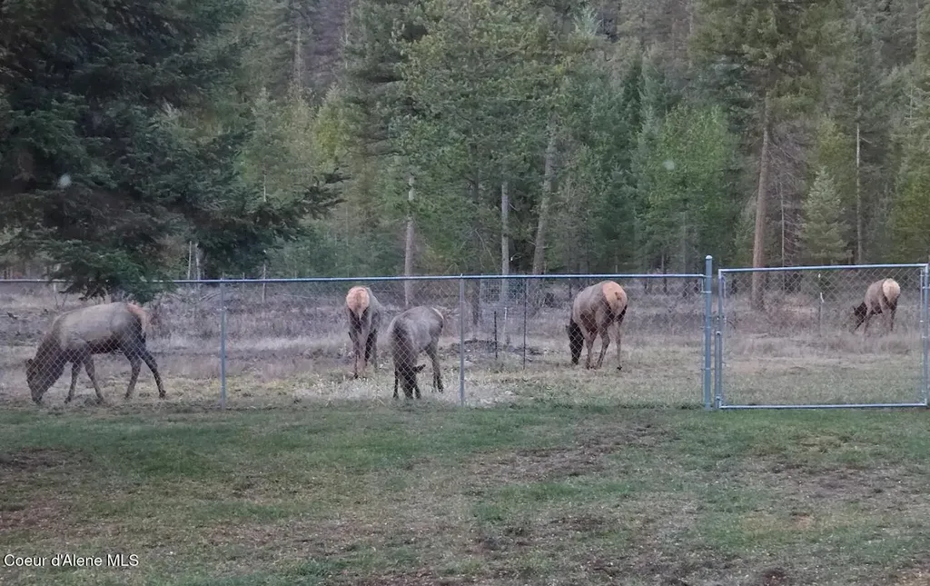 386 Ursa Lane Priest River ID 83856