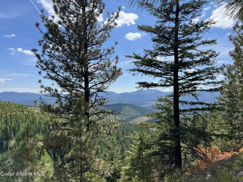 1425 Upriver View Drive Fernwood ID 83830