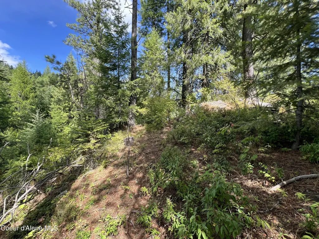 1425 Upriver View Drive Fernwood ID 83830