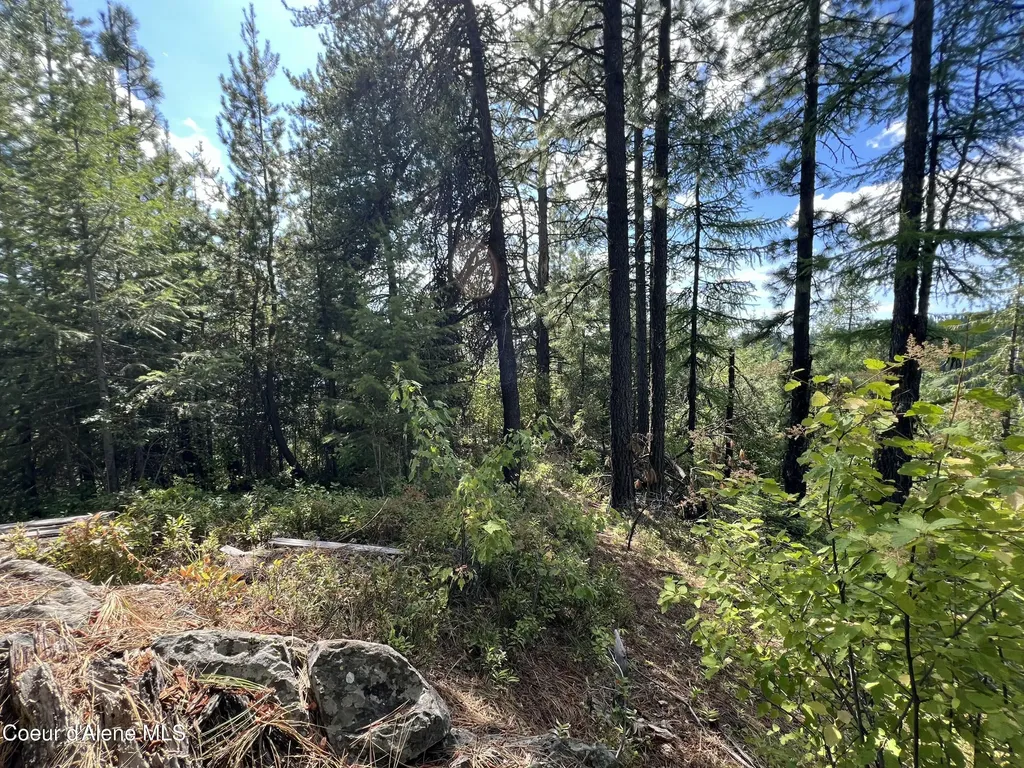 1425 Upriver View Drive Fernwood ID 83830