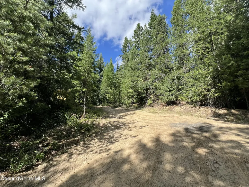 1425 Upriver View Drive Fernwood ID 83830