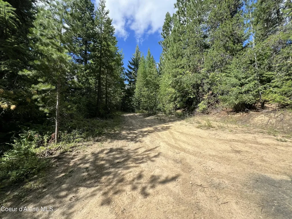 1425 Upriver View Drive Fernwood ID 83830