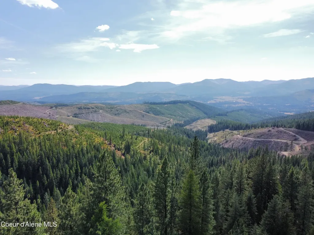 1425 Upriver View Drive Fernwood ID 83830