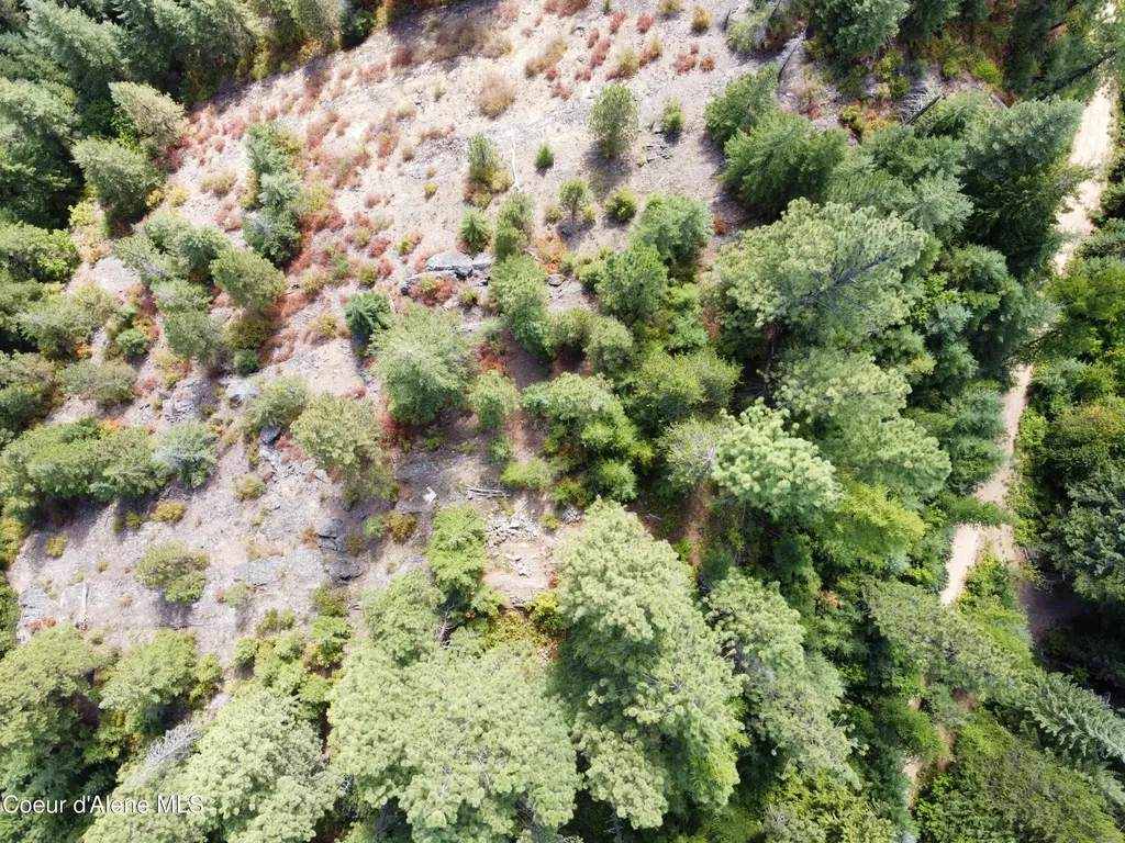 1425 Upriver View Drive Fernwood ID 83830