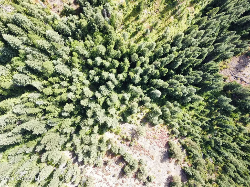 1425 Upriver View Drive Fernwood ID 83830