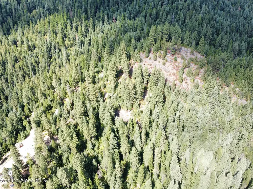 1425 Upriver View Drive Fernwood ID 83830