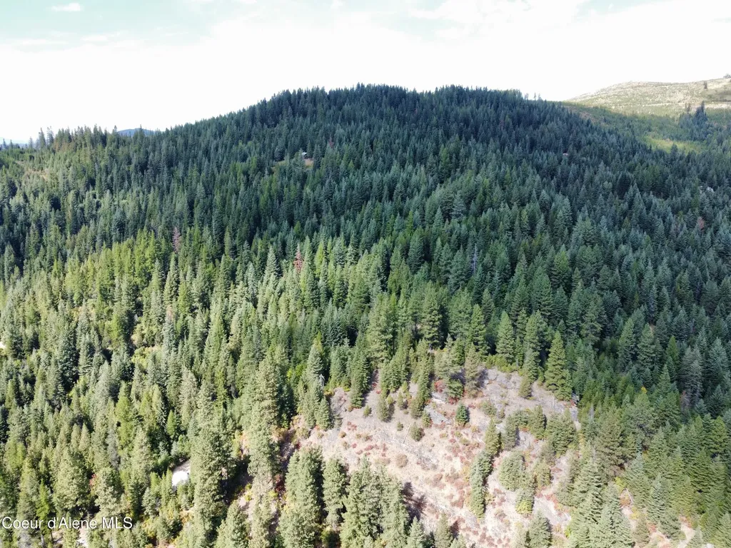1425 Upriver View Drive Fernwood ID 83830