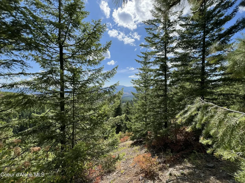 1425 Upriver View Drive Fernwood ID 83830